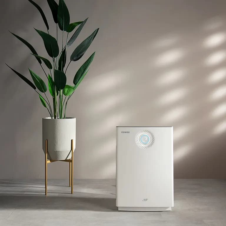 Coway Lombok 3 air purifier