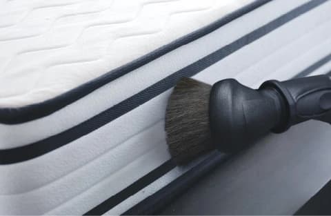 Coway Eco Lite — Side Edge Cleaning